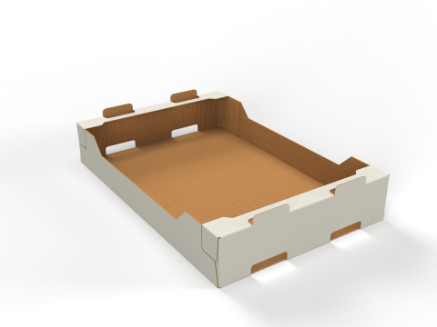 Cardboard Retail Display Tray for Product Packaging Merchandise 3D Model