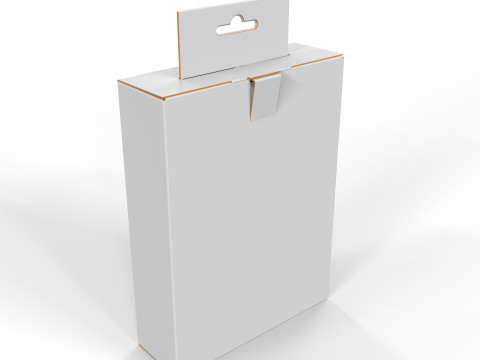 Hanging Display Packaging Box Foldable Locking Flap 3D Model