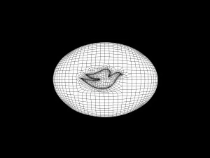 dove soap 3D Model