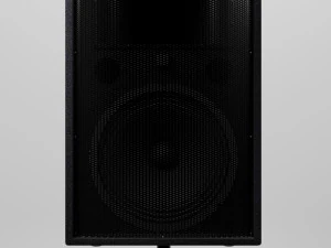 yamaha r115 acoustics 3D Model