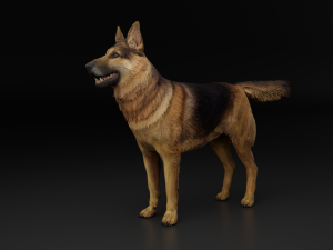 German Shepherd Dog 3D Model