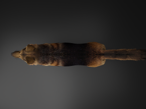 German Shepherd Dog Modèle 3D