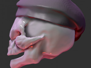 skull cook Model 3D