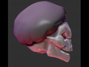 skull cook Model 3D