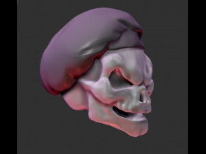 skull cook Model 3D