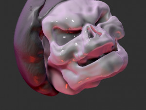 skull cook Model 3D