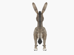 Cartoon donkey from shrek Model 3D