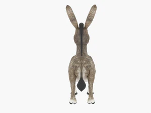 Cartoon donkey from shrek 3D Model