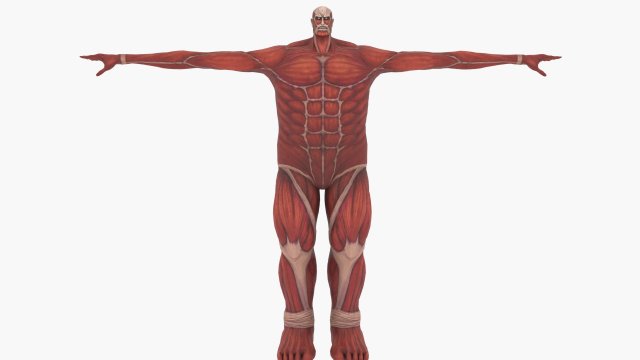 Colossal titan 3D Model .c4d .max .obj .3ds .fbx .stl .blend 