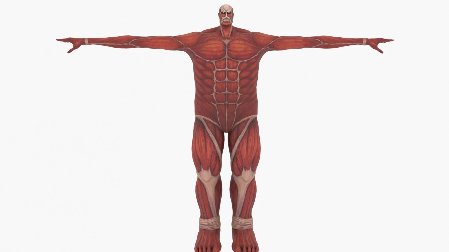 Colossal titan 3D Model .c4d .max .obj .3ds .fbx .stl .blend 