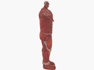 Colossal titan 3D Model