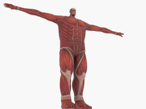 Colossal titan 3D Model