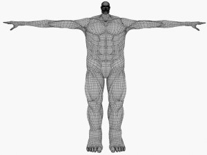 Colossal titan 3D Model