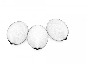 Lemon 3D Model