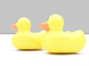 Rubber Duck 3D Model