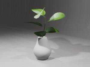 Decorative Plants 3Dモデル
