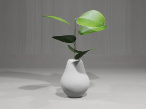 Plantas Decorativas Modelo 3D