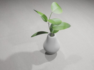 Decorative Plants Modelo 3D