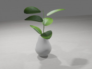 Decorative Plants Modelo 3D