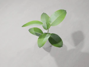 Plantas Decorativas Modelo 3D