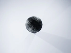 Microphone 3D Model