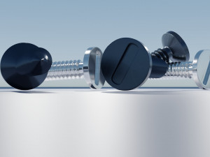 Stainless Steel Screw Modello 3D