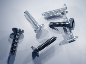 Stainless Steel Screw Modello 3D