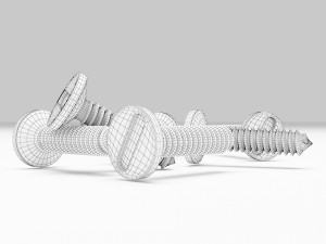 Stainless Steel Screw Modello 3D
