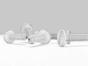 Stainless Steel Screw Modello 3D