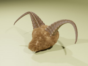 Display Horns Statue Modelo 3D