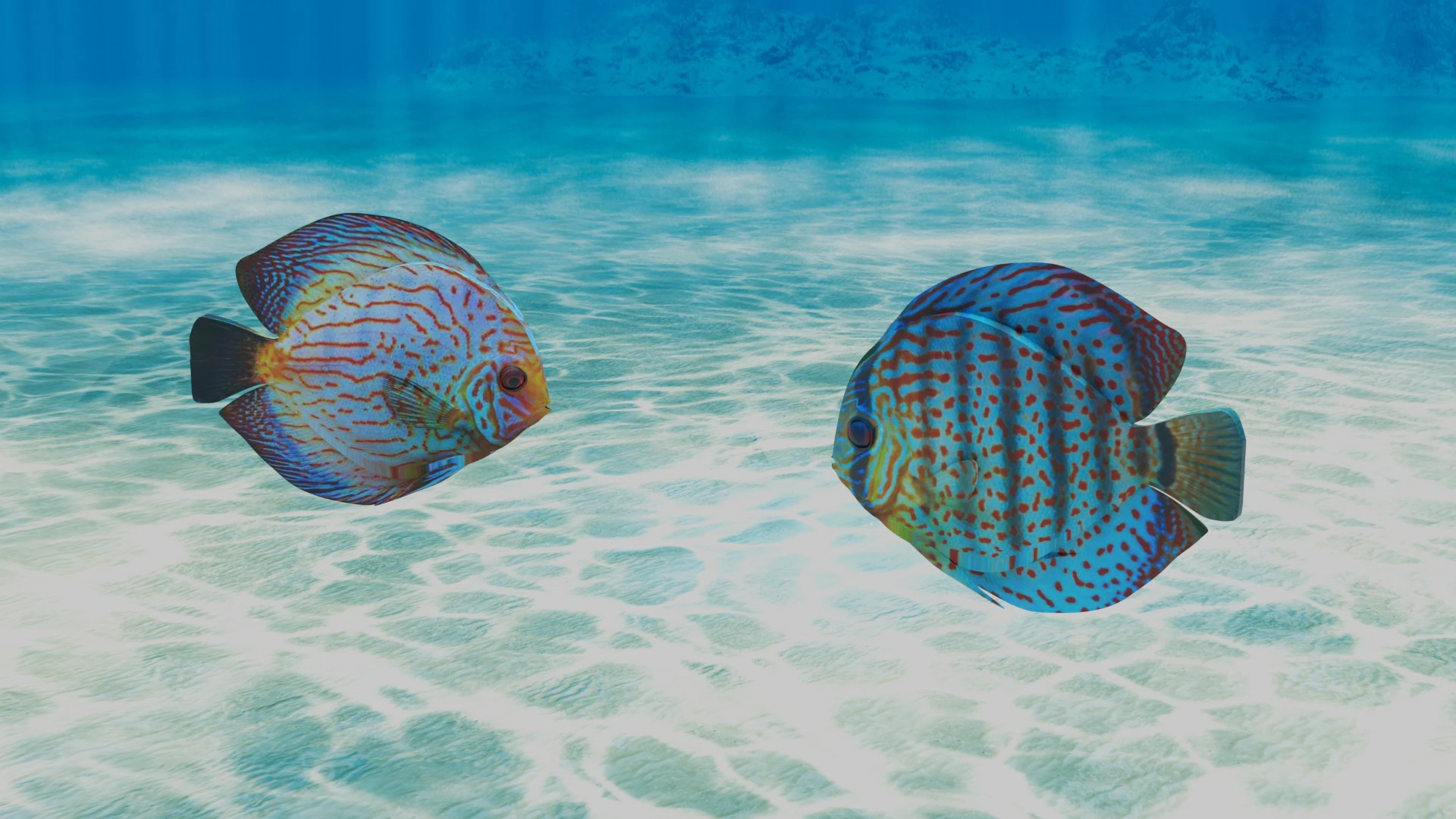 Discus Fish 3D Model .c4d .max .obj .3ds .fbx .stl .blend 