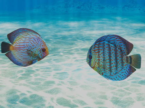 円盤投げの魚 3Dモデル