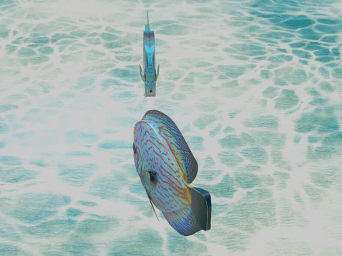 Discus Fish 3D Model