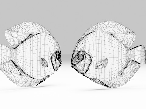 Discus Fish 3D Model