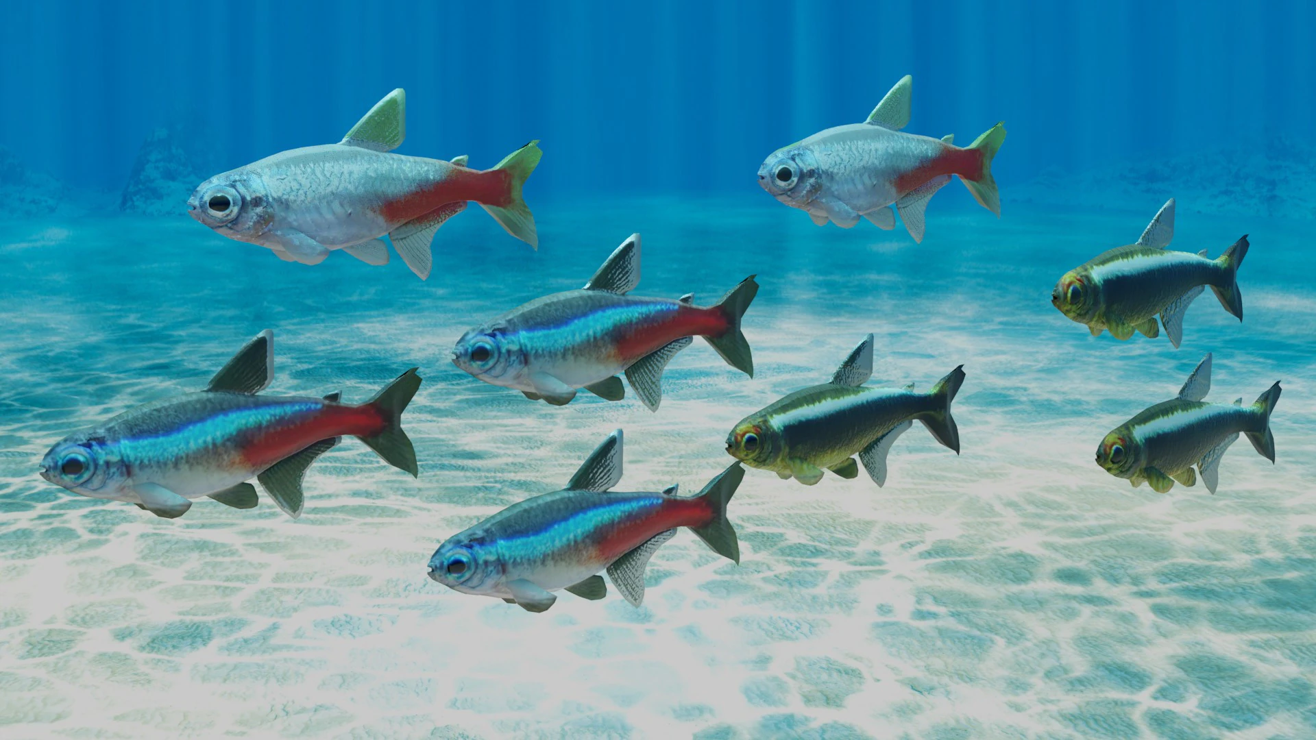 Neon Tetra Fish 3D Model .c4d .max .obj .3ds .fbx .stl .blend 