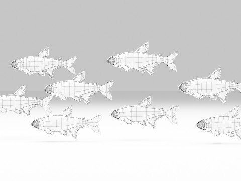 Neon Tetra Fish Modelo 3D