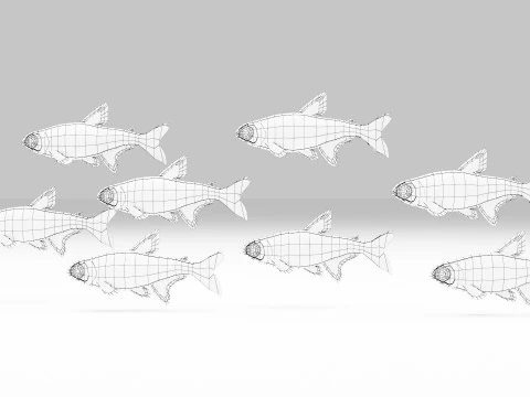 Neon Tetra Fish 3D Model