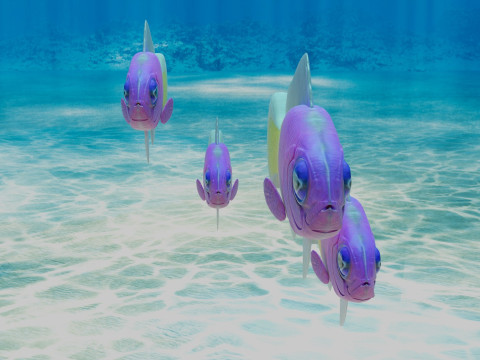 Bicolor Dottyback Fish Modèle 3D
