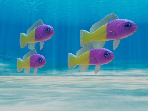 Ikan Dottyback Dua Warna Model 3D