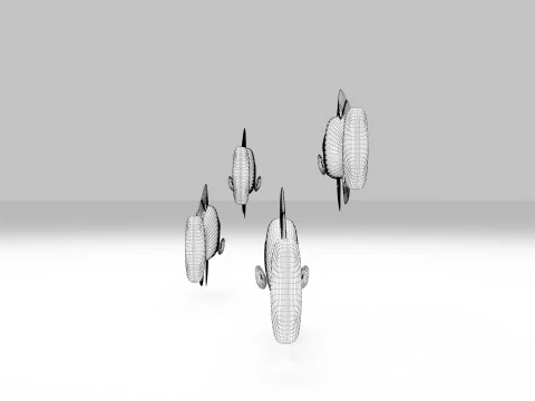 Ikan Dottyback Dua Warna Model 3D