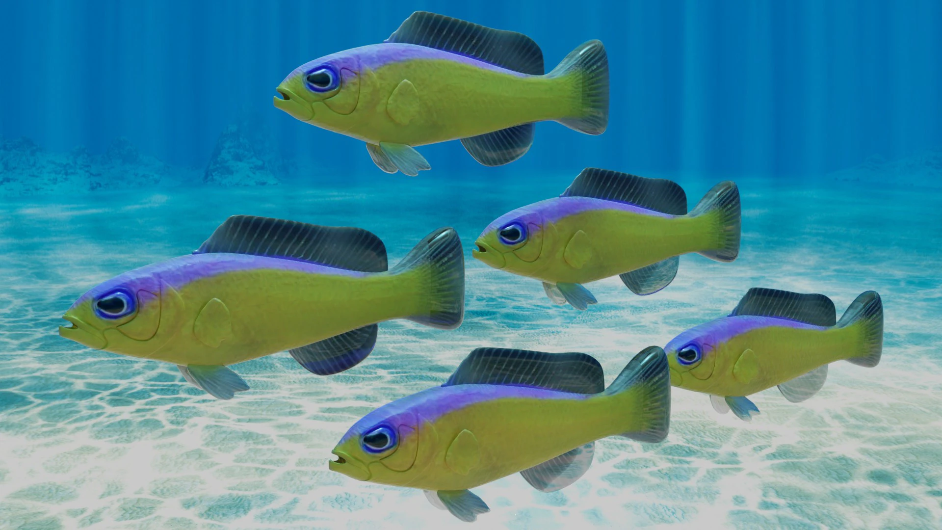 Purple Stripe Dottyback Fish 3D Model .c4d .max .obj .3ds .fbx .stl .blend 