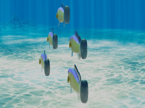Purple Stripe Dottyback Fish Model 3D