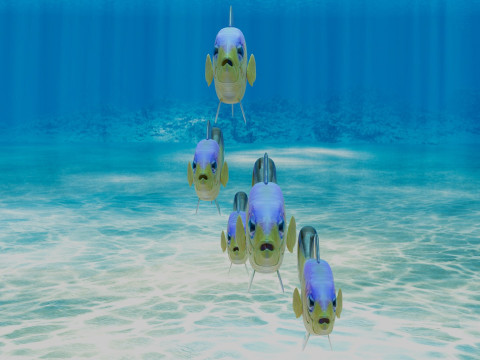 Purple Stripe Dottyback Fish Model 3D