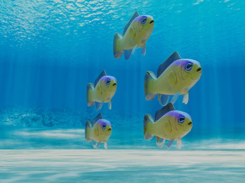 Purple Stripe Dottyback Fish 3D Model