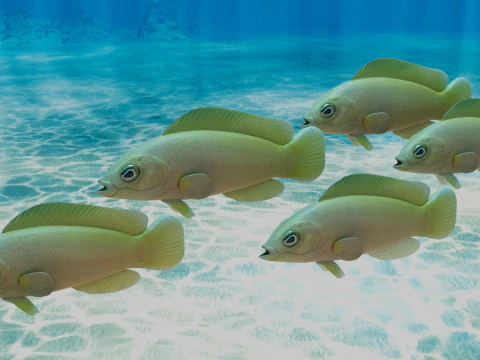 노란 점등등 물고기 3D 모델