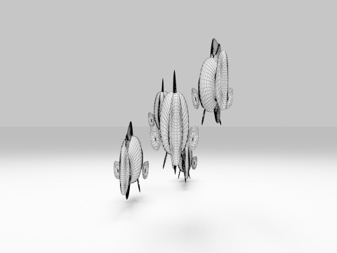 Yellow Dottyback Fish Model 3D