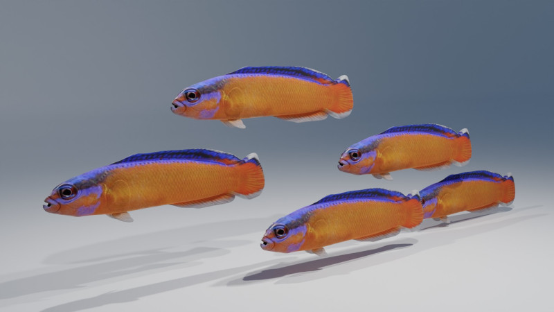 Neon Dotyyback Fish 3D Модель .c4d .max .obj .3ds .fbx .stl .blend 