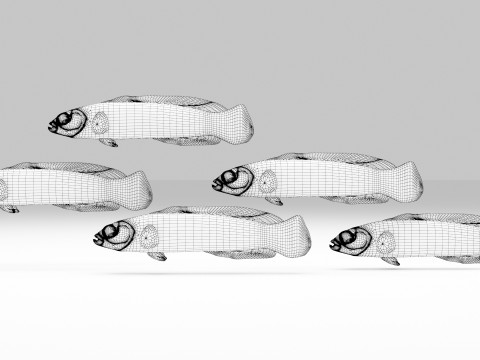 Neon Dotyyback Fish 3D Модель