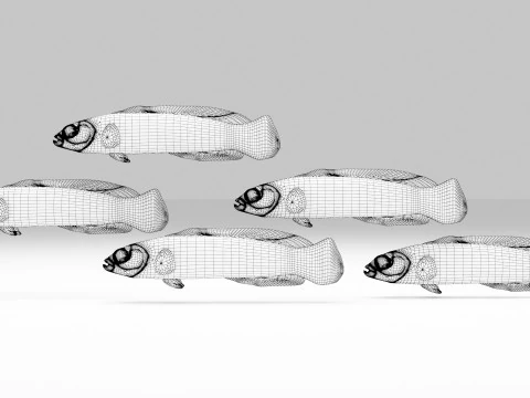 Neon Dotyyback Fish 3D Model