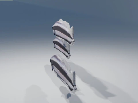 Striped Dottyback Fish 3D Model